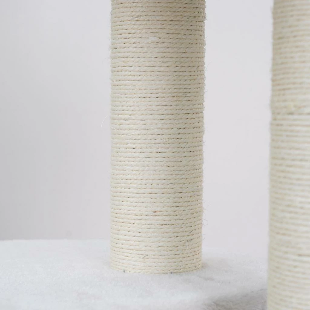 Pharaoh Two 6 Pharaoh Two - Image 4