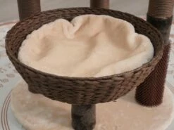 Pharaoh -Pet Supplies Sales Shop cf9eda f58431c5854a496a9b381aaf4bc5d460 mv2 c82629fb b298 415a 925d 9f5ccb1d010a