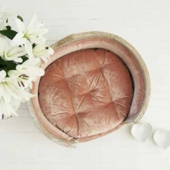 Luxury Pet Bed 16 Luxury Pet Bed -Pet Supplies Sales Shop description images 5 8be2e818 7183 4cce a236 7c05074ee098