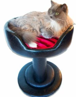 Hybernest Deluxe Luxury Cat Bed -Pet Supplies Sales Shop fLAME HYD cc56842b cbcd 4260 adf7 d933302021b4