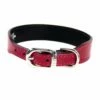 Italian Ferrari Red Leather In Nickel -Pet Supplies Sales Shop ferrari red nickel 231bc0f7 375d 4071 9ebe 6a12f85023aa