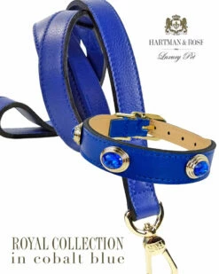 Royal In Cobalt Blue & Gold -Pet Supplies Sales Shop flyer royal in cobalt blue 2021 f5c1dc21 1a21 48ac a151 3cc3c43b56eb