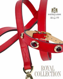 Royal In Ferrari Red & Gold -Pet Supplies Sales Shop flyer royal set in ferrari red 2021 1 eaf217f1 b883 4214 b579 b84f215dda14