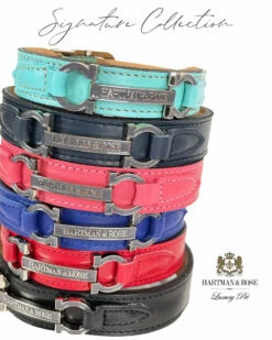 Signature In Cobalt Blue & Nickel -Pet Supplies Sales Shop flyer signature in nickel 2021 5 bae81349 fdc6 415d 87ba c6be1226c82f