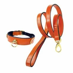 St. Tropez In Tangerine -Pet Supplies Sales Shop flyer st. tropez in tangerine 2 1 02c1d03d 8cc2 465a 8c69 71763291d5c5