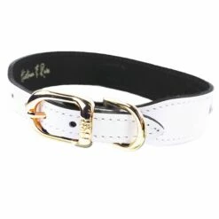 Octagon In White Patent 10 Octagon In White Patent -Pet Supplies Sales Shop haute couture octagon in white patent golden shadow gold reverse 243c9109 e733 4259 8519 05cfe1298e79