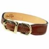 Italian Rich Brown Leather In Gold -Pet Supplies Sales Shop italian in rich brown gold 1 4ab5be5f baf7 45b8 a0a5 a748cb674df7