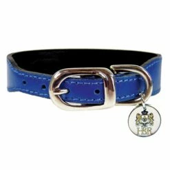 Italian Cobalt Blue Leather In Nickel -Pet Supplies Sales Shop italian cobalt b 51354d182a534 4a7f71dd 756e 418f 988c c23713a8e660