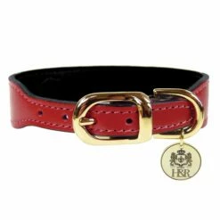 Italian Ferrari Red Leather In Gold 7 Italian Ferrari Red Leather In Gold -Pet Supplies Sales Shop italian ferrari 51354d9f343d1 c438b61a 8bb8 41e1 9a35 f2a052e7f292