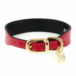 Italian Red Patent Leather In Gold -Pet Supplies Sales Shop italian red pate 4c29616e988b5 b531207d b77b 45fe a722 f860dd4df6f5