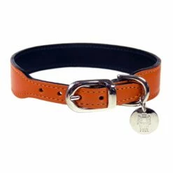 Italian Tangerine Leather In Nickel -Pet Supplies Sales Shop italian sunkist 4f0e1161cb180 d91c9f9a 117d 451b 8c03 327bb4708f31