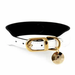 Italian White Patent Leather In Gold -Pet Supplies Sales Shop italian white pa 4c2961f976f5d 4d6cb058 09f3 47f7 8429 5b03c3eb315d