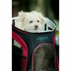 Katziela® Voyager Pet Backpack Carrier For Dog, Cat And Puppy - Great For Hikers -Pet Supplies Sales Shop katzielar voyager pet backpack carrier for dog cat and puppy great for hikers pet carriers crates katziela 721370 bde18933 86ca 4d75 af3f 199a7d0e471b