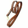 Private Reserve Lead -Pet Supplies Sales Shop ostrich lead in gold 2 d27bcf5f a810 4a0e 98e4 0d244af70449