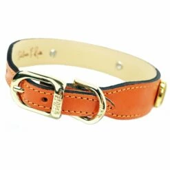 Peacock In Tangerine 8 Peacock In Tangerine -Pet Supplies Sales Shop peacock in tangerine reverse e920ab47 4d4e 4550 a1f1 81667d847021