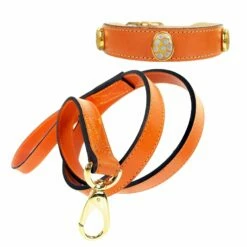 Peacock In Tangerine 9 Peacock In Tangerine -Pet Supplies Sales Shop peacock set in tangerine 8091c4ca 6f82 45a9 a51c a47790f0907d