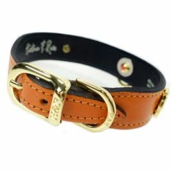 St. Tropez In Tangerine -Pet Supplies Sales Shop peacock in tangerine reverse d76fe684 dc47 46d4 afb3 f762a773f5a1