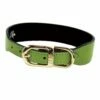 Italian Lime Green Leather In Gold -Pet Supplies Sales Shop plain lime green gold a2729dbc 3875 4314 9775 25ea1908b20a
