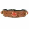 Private Reserve In Red Jasper 1 Private Reserve In Red Jasper -Pet Supplies Sales Shop private reserve in red jasper 4bf7ef76 9911 492e bdb7 7965f19353ba