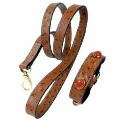 Private Reserve In Red Jasper -Pet Supplies Sales Shop private reserve set in red jasper 7f8d6a3b 65b4 4c38 81ea d1e80da28563