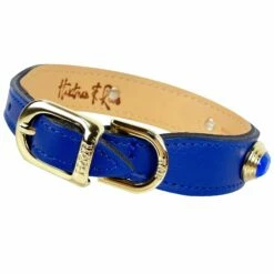 Royal In Cobalt Blue & Gold -Pet Supplies Sales Shop royal in cobalt blue reverse 1 f48be583 8a89 42c5 b99f d122b58152b7