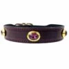 Royal In Eggplant & Gold -Pet Supplies Sales Shop royal in eggplant 2 b589887a 1cbc 4a62 9f81 267e367199d7