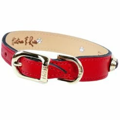 Royal In Ferrari Red & Gold -Pet Supplies Sales Shop royal in ferrari red reverse b519dce2 8232 4203 ab5c 38bfc783f070