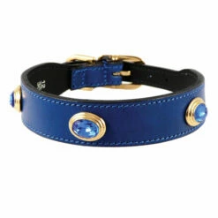 Royal In Cobalt Blue & Gold -Pet Supplies Sales Shop royal in cobalt 4f57dce9e8d06 849b1697 b2fa 4b30 b8e0 b3ab6d6de0df