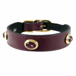 Royal In Eggplant & Gold -Pet Supplies Sales Shop royal in eggplan 4f57dd0c882e2 818feb98 609d 43e5 ab5b 560180c22adf