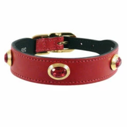 Royal In Ferrari Red & Gold -Pet Supplies Sales Shop royal in ferrari 4f57dd7f5149f a90a49f0 f450 4b61 8dda c291a0225931