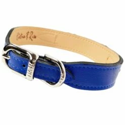 Signature In Cobalt Blue & Nickel -Pet Supplies Sales Shop signature in cobalt blue reverse 483c0274 92be 4a15 af44 aca5770ec00d