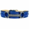 Signature In Cobalt Blue & Nickel -Pet Supplies Sales Shop signature in cobalt blue 1 c7e46c20 4446 47ac 8e99 f5e451f64d7f