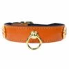 St. Tropez In Tangerine -Pet Supplies Sales Shop st. tropez in tangerine 858a3f35 12bf 47e6 824a 762018732b29