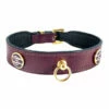 St. Tropez In Eggplant -Pet Supplies Sales Shop st. tropez in eg 4f57afab0e7c3 07379275 9202 46a9 b9e4 79eef55a9ee1