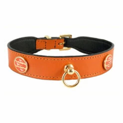 St. Tropez In Tangerine -Pet Supplies Sales Shop st. tropez in ta 4f7c78cd93eb3 749348cc 360e 4c42 afa6 b7cdb806096d