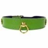 St. Tropez In Lime Green -Pet Supplies Sales Shop st tropez in lime green 1da761ce c072 48f5 a8e4 f0a644349979