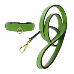 St. Tropez In Lime Green -Pet Supplies Sales Shop st tropez set in lime green 1 70013d29 4608 41d4 9760 9b2785b279a5
