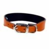 Italian Tangerine Leather In Nickel -Pet Supplies Sales Shop tangerine nickel 03a22bcb 8a22 4186 9811 c91960bd6b72